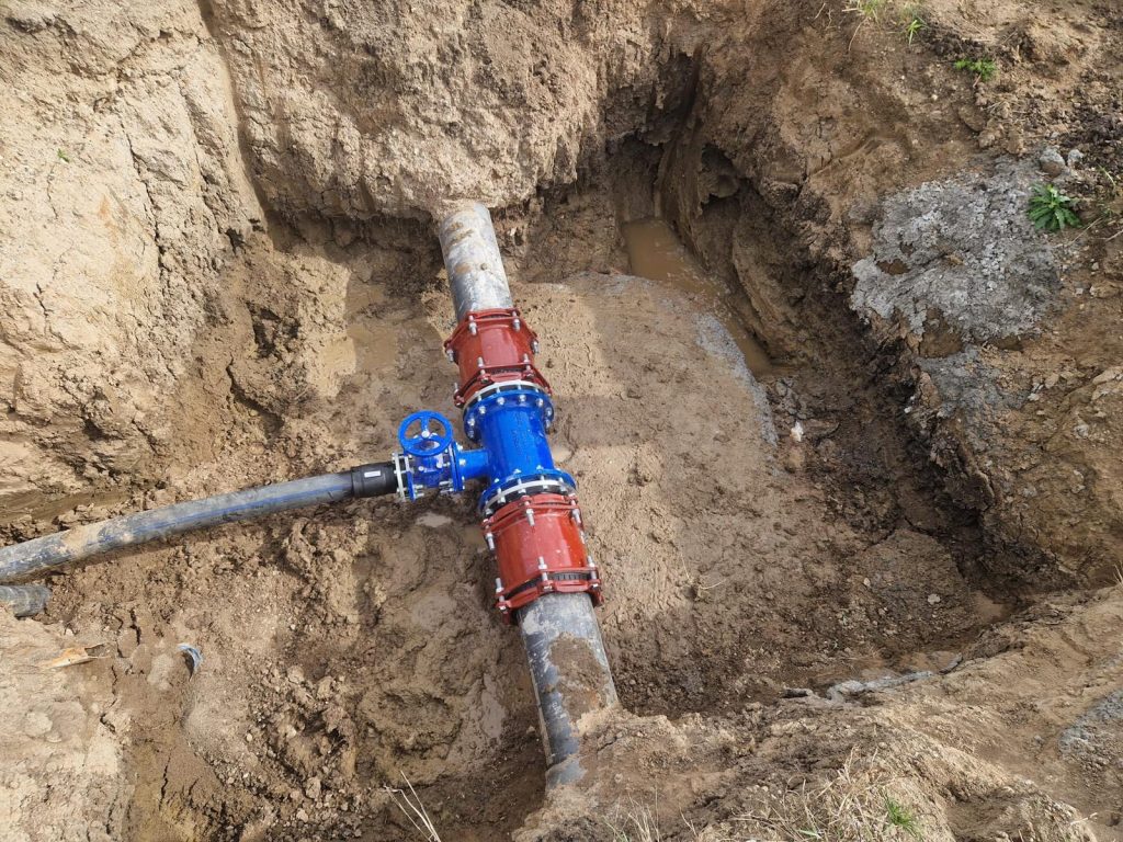 1_SILINIDIA_ALIMENTARE