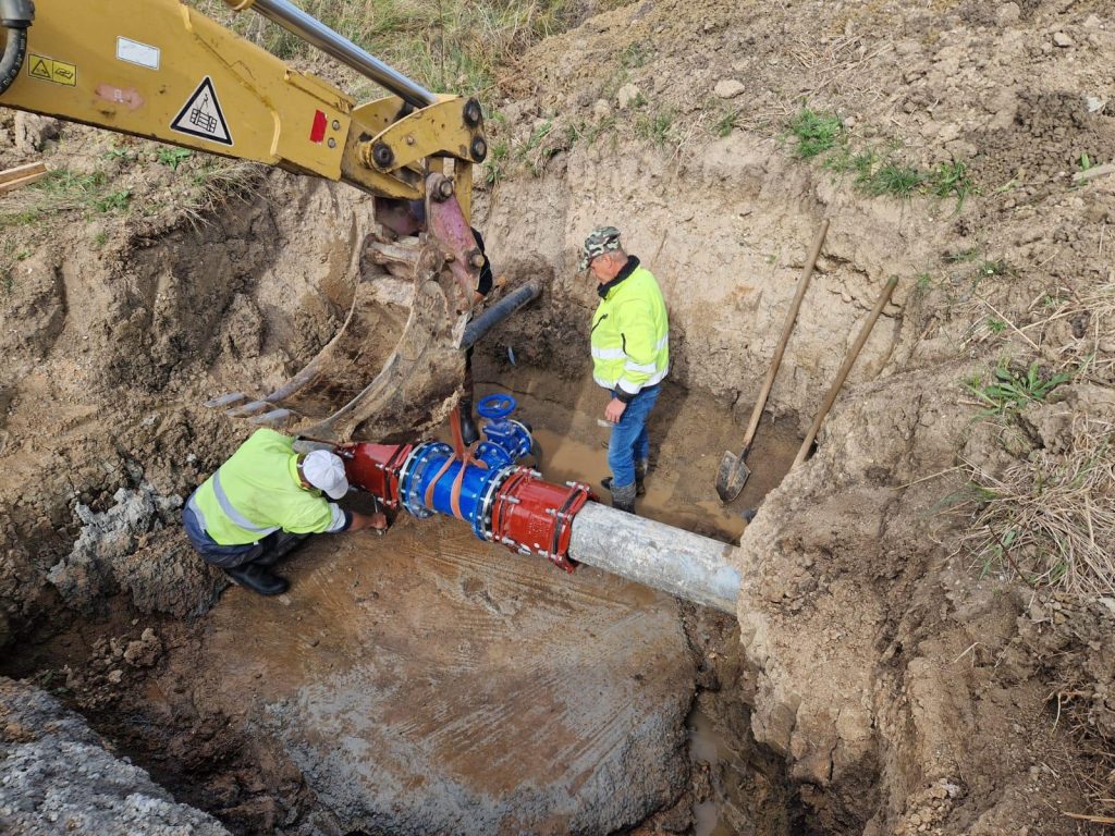 3_SILINIDIA_ALIMENTARE