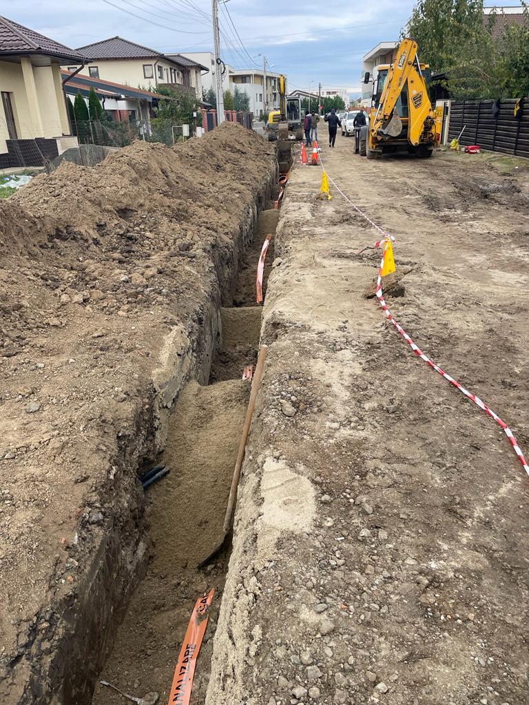 Dumbrăvița Drumui locale 64