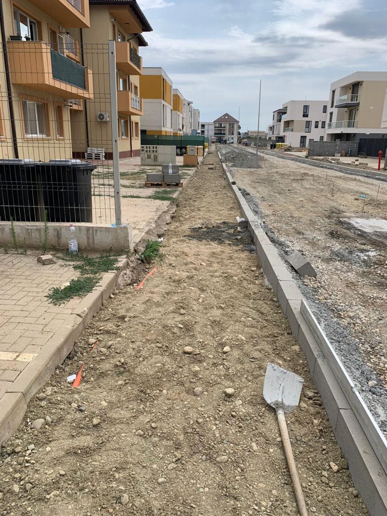 Dumbrăvița Drumuri locale 1