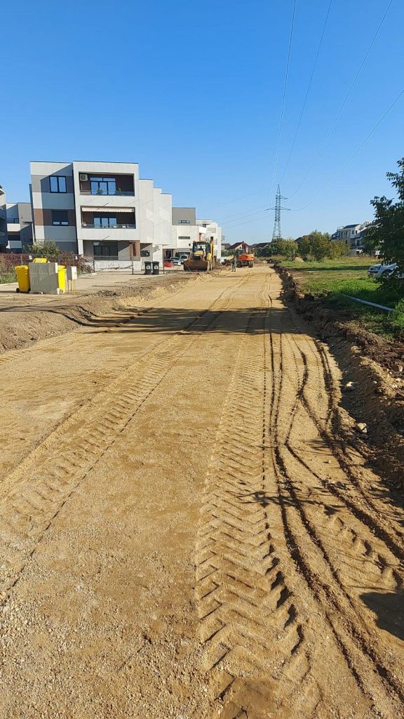 Dumbrăvița Drumuri locale 10