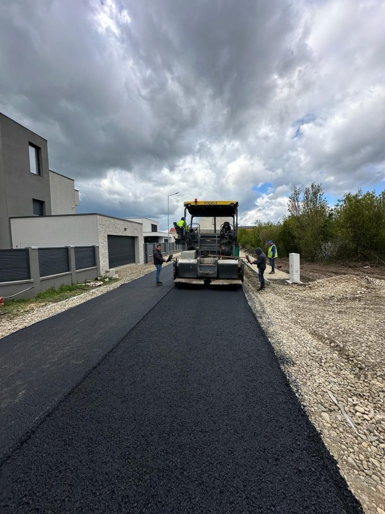 Dumbrăvița Drumuri locale 103