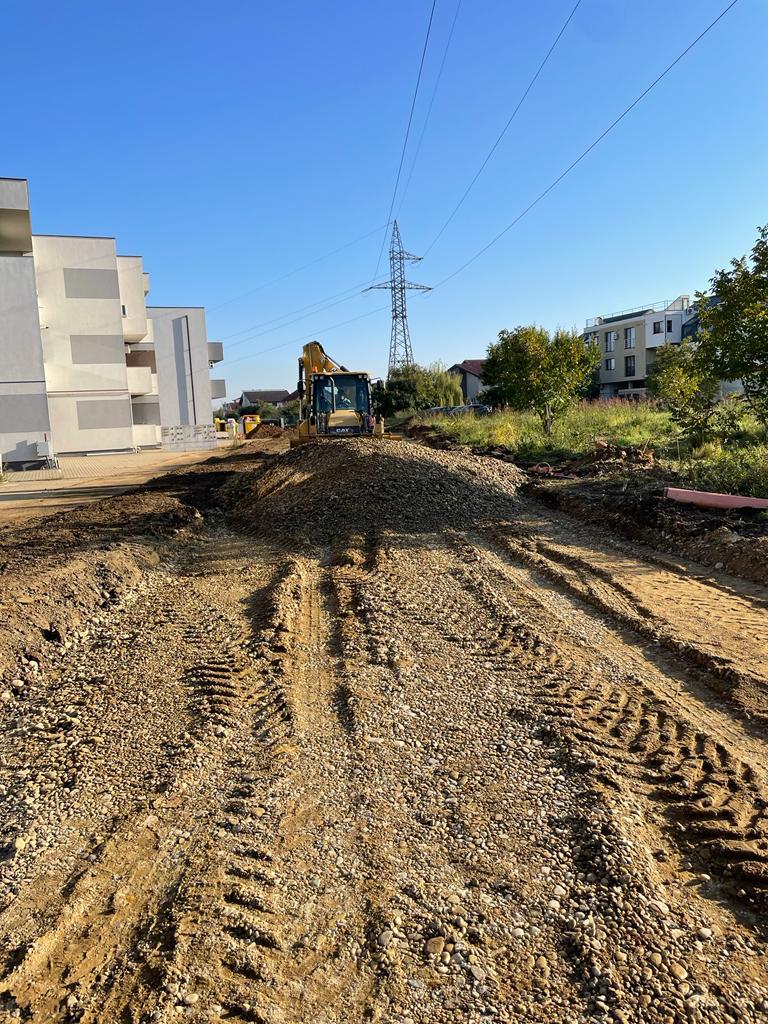 Dumbrăvița Drumuri locale 11