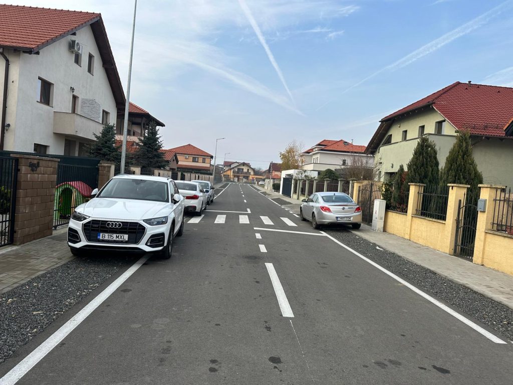 Dumbrăvița Drumuri locale 156