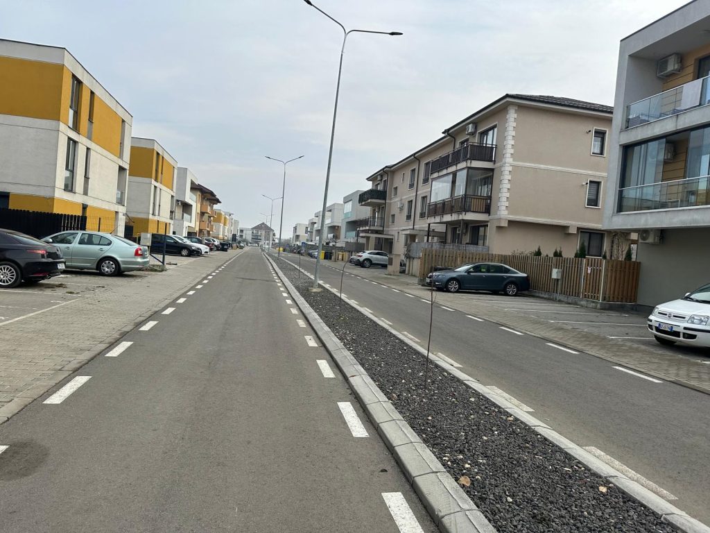 Dumbrăvița Drumuri locale 161