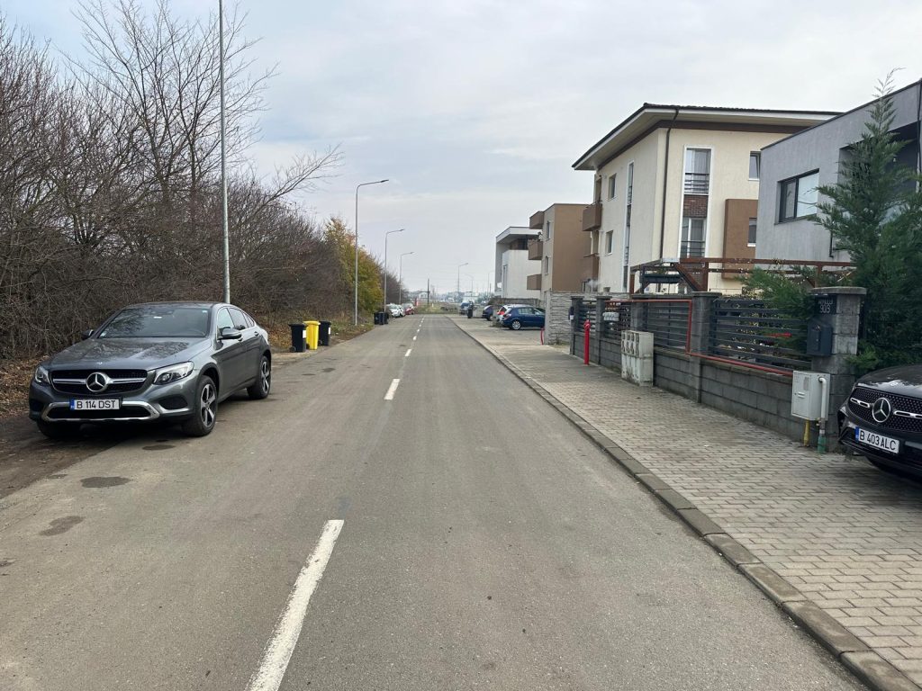 Dumbrăvița Drumuri locale 162