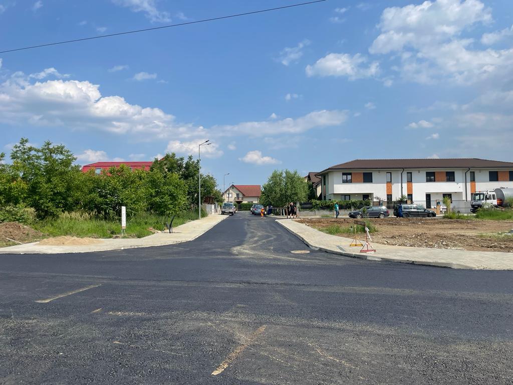 Dumbrăvița Drumuri locale 38