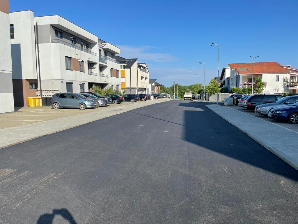 Dumbrăvița Drumuri locale 44