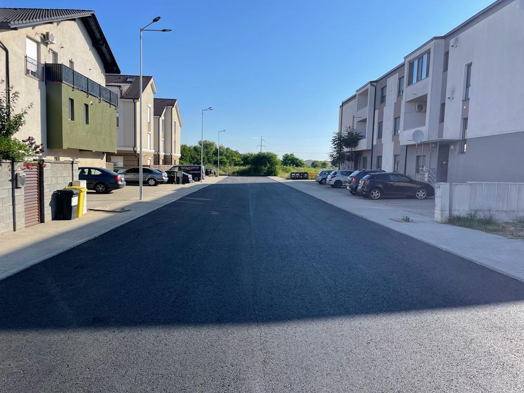 Dumbrăvița Drumuri locale 46