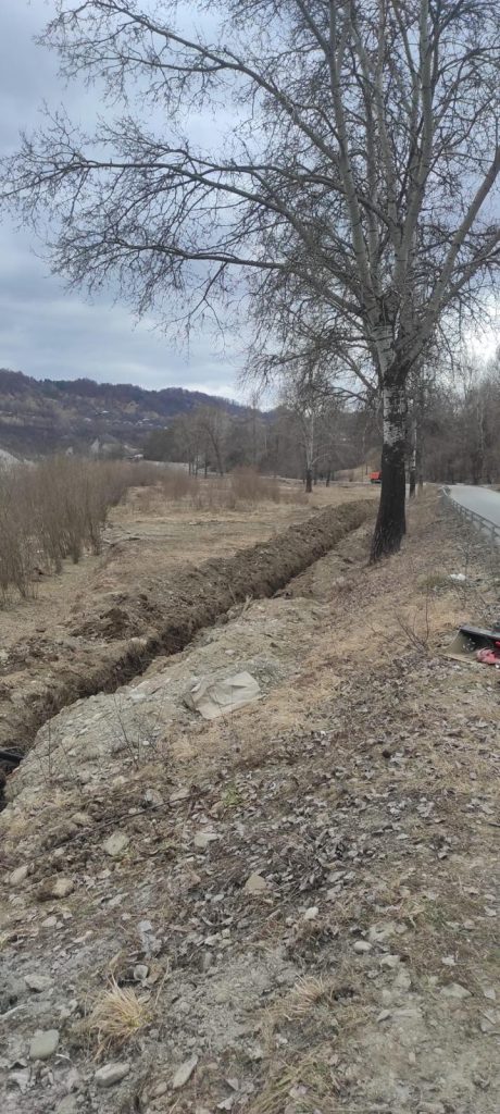 Năruja Alimentare cu apă 12