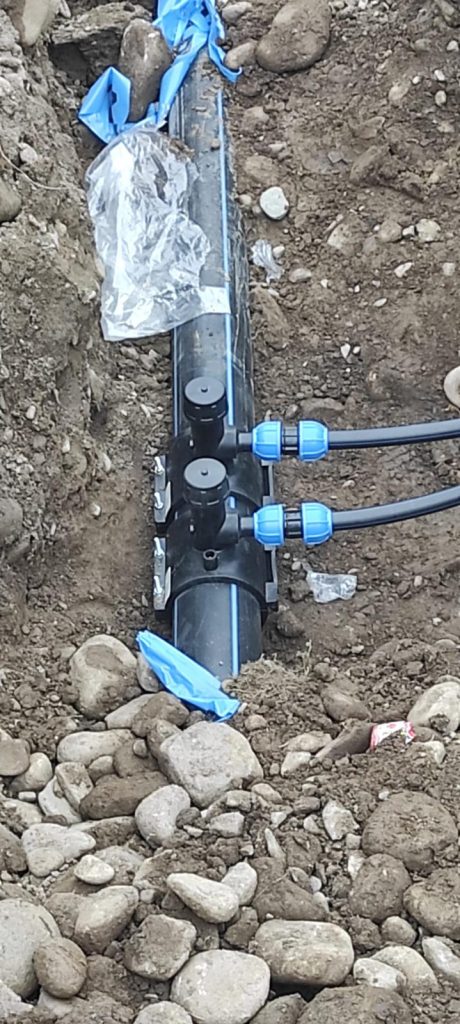 Năruja Alimentare cu apă 14