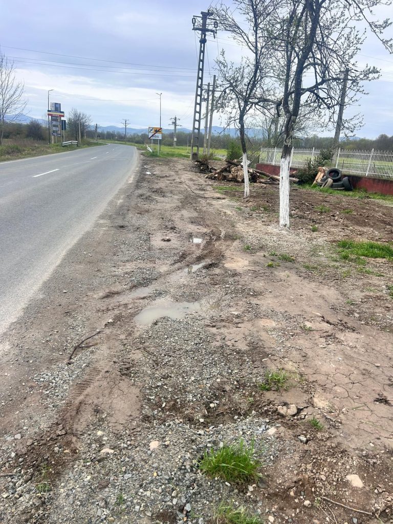 Sebiș Alimentare cu apă 10