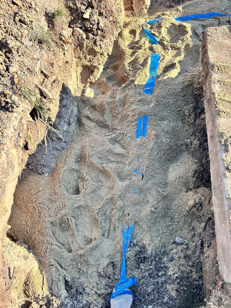 Sebiș Alimentare cu apă 33