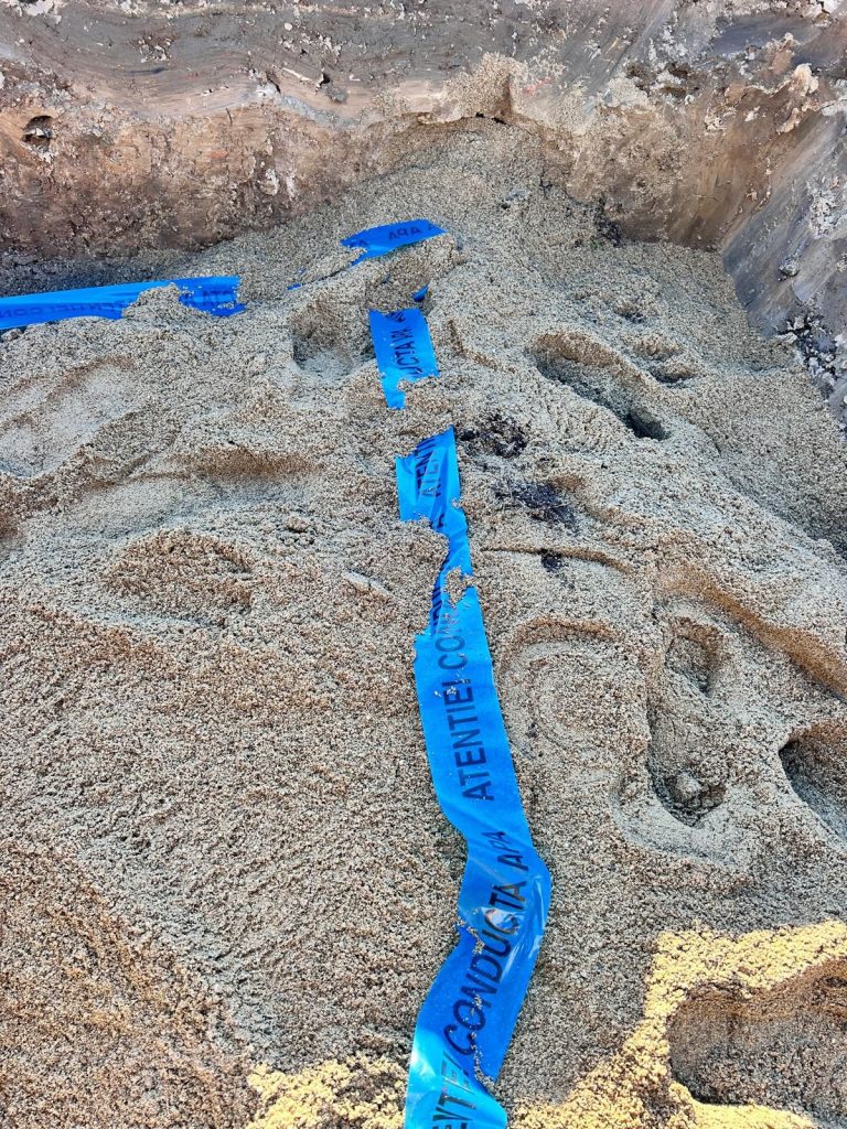 Sebiș Alimentare cu apă 35