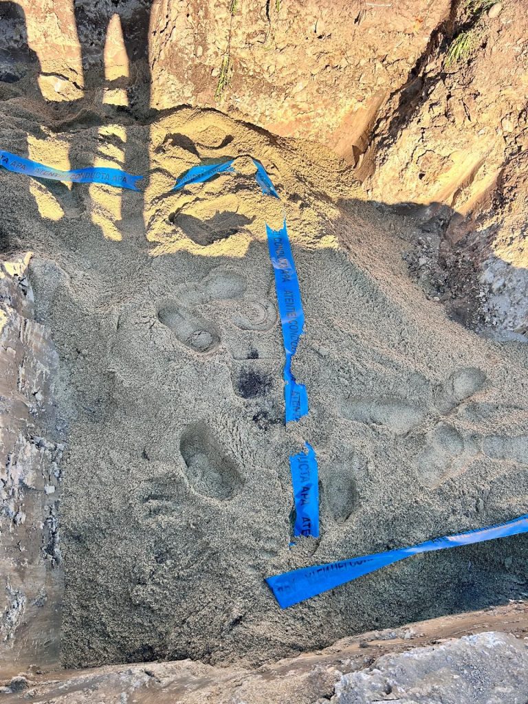 Sebiș Alimentare cu apă 41