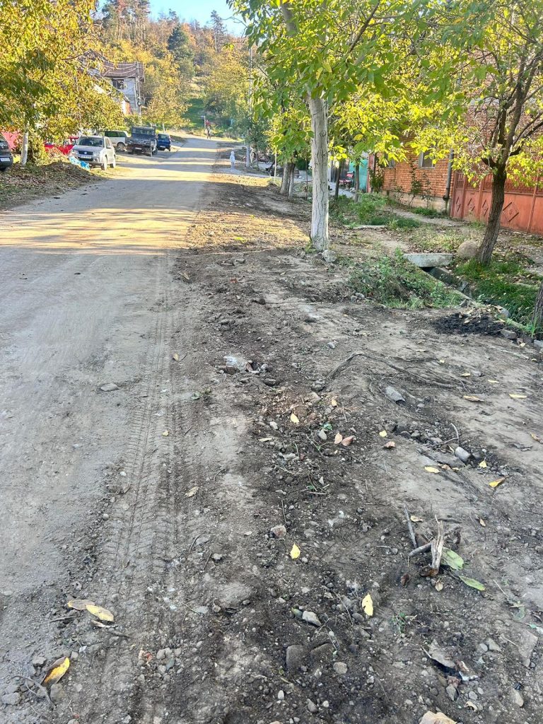 Sebiș Alimentare cu apă 98