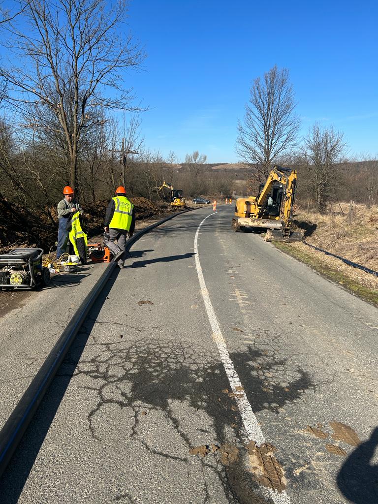 Zerind alimentare cu apă și canalizare menajeră 11